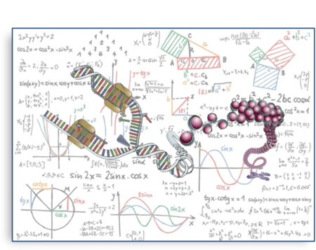 dna replication model project